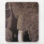 Bull Elephant Mouse Mats