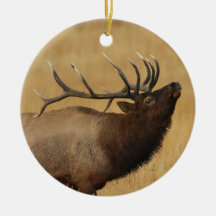 bull elk christmas ornaments