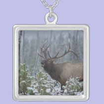 Bull Elk in snow calling, bugling, Yellowstone necklaces