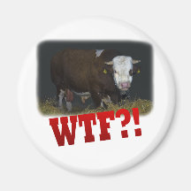 bull magnet