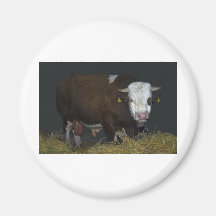 bull magnets