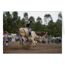 BULL RIDING BERT CARDS