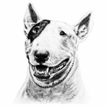 Bull Terrier Cut Outs
