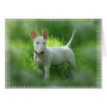 Bull Terrier Greeting Card