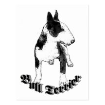 Bull Terrier Postcard