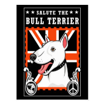 Bull Terrier Postcard Collection