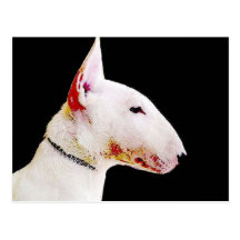 Bull Terrier Postcards