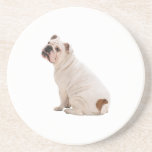 Bulldog Coaster