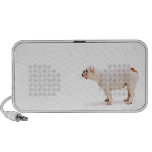 Bulldog Speaker