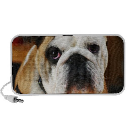 Bulldog Speaker