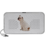 Bulldog Speaker