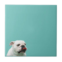 Bulldog Tile