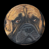 Bullmastiff Waiting - Dog Breed Art magnets
