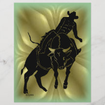 Bullrider 303 flyer