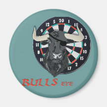 Bulls Eye Fridge Magnets