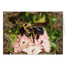 Bumble Bee 93f ~ card
