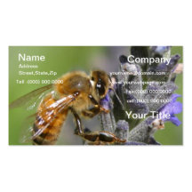 Bumble Bee Business card