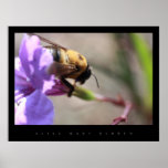 BUMBLE BEE PRINT