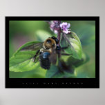 BUMBLE BEE PRINT