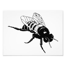 Bumble Bee Silhouette Photo Print