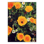 Bumblebee in the Poppies notecards