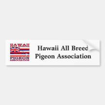 Bumper Sticker