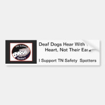 Bumper Sticker