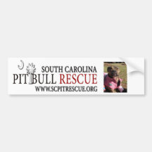 Bumper Sticker