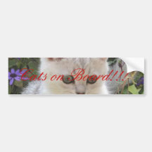 Bumpers for cats bumper sticker