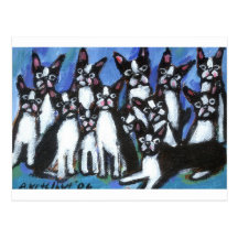 Bunch of Bostons Post Card