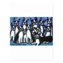 Bunch of Bostons Postcard