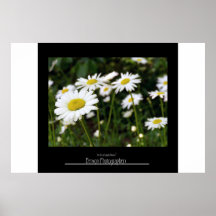 Bunch of Daisies Posters