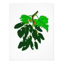 Bunch of peppers green invite