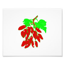 Bunch of red peppers art photo