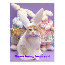 Bunny Bubba 3 Post Cards