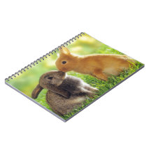 Bunny Kiss Spiral Notebooks