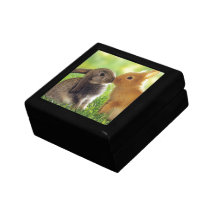 Bunny Kiss Trinket Boxes