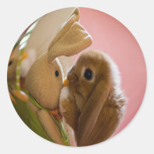 Bunny Kissing "Stuffed Toy Bunny"Sticker