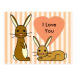 Bunny Love - Cute Rabbits Postcards