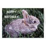 Bunny Rabbit Birthday Card