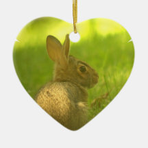 Bunny Rabbit  Ornament