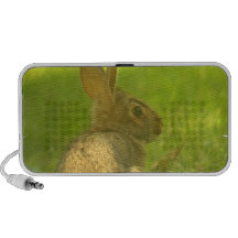 Bunny Rabbit  Portable Speakers