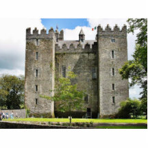 Bunratty Castles Acrylic Cut Out