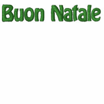 Buon Natale Embroidered Shirt