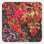 Burning Bush Abstract Stickers