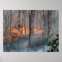 Burning Smoke Posters