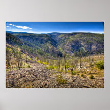 Burnt Out Area of Myra Canyon, Art Print