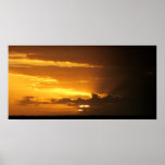 Busalo Beay sunste Posterdrucke