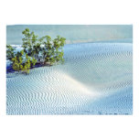 Bush And Rippled Sand, Big Dunes Personalized Announcement