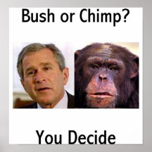 Bush Or Chimp Print